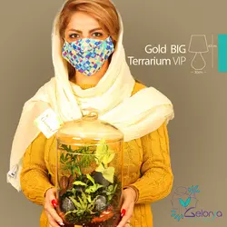 تراریوم مدل گلد بزرگ vip | خانه گل گلوريا