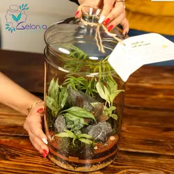 تراریوم مدل گلد بزرگ vip | خانه گل گلوريا