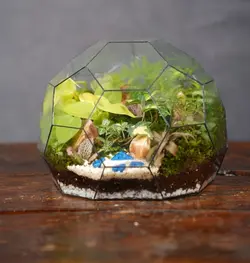 تراریوم مدل گلدن بال|خانه گل گلوریا