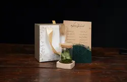 پکیج مینی تراریوم | خانه گل گلوريا