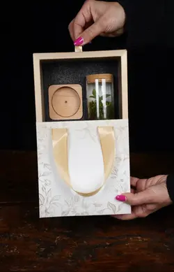 پکیج مینی تراریوم | خانه گل گلوريا