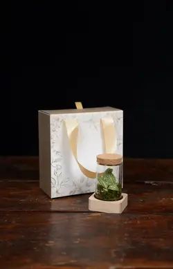 پکیج مینی تراریوم | خانه گل گلوريا