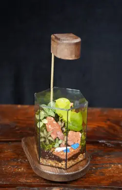 تراریوم مدل هگزا با استند نور مخصوص | خانه گل گلوريا