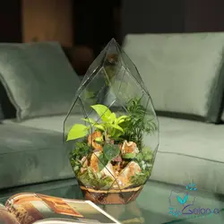 تراریوم دایموند vip
