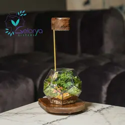 تراریوم مدل پنتاگون