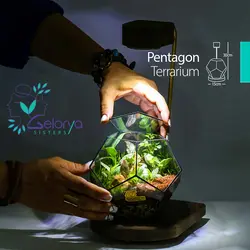 تراریوم مدل پنتاگون