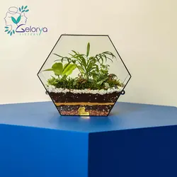 تراریوم باغ دیواری | خانه گل گلوريا