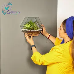 تراریوم باغ دیواری | خانه گل گلوريا