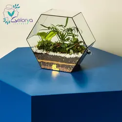 تراریوم باغ دیواری | خانه گل گلوريا