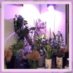 پروژکتور رشد گیاه فول طیف 100 وات (SMD)