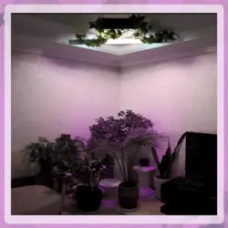 پروژکتور رشد گیاه فول طیف 100 وات (SMD)