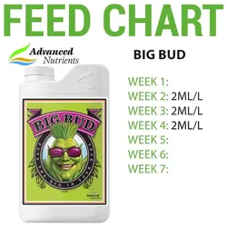 کود ادونس Big Bud