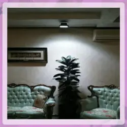 پروژکتور رشد گیاه فول طیف 50 وات