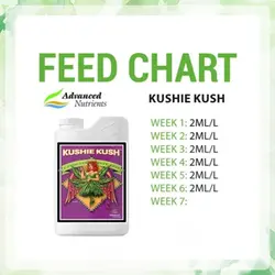 کود ادونس Kushie Kush