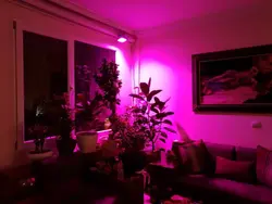 پروژکتور رشد گیاه 20 وات