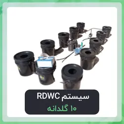 سیستم RDWC هیدروپونیک 10 سطل یا 10 گلدانه