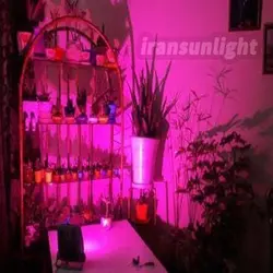 پروژکتور رشد گیاه 10وات