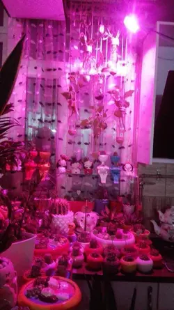 پروژکتور رشد گیاه 10وات