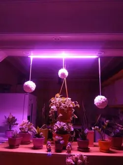 وال واشر رشد گیاه 12 وات