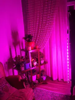 وال واشر رشد گیاه 12 وات