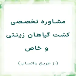 مشاوره تخصصی کشت گیاهان زینتی و خاص (واتساپ)