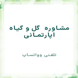 مشاوره گل و گیاه اپارتمانی(واتساپ)