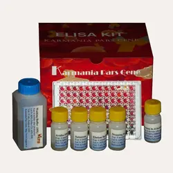 کیت الایزا تشخیص میزان کموکین CCL2 (MCP-1)