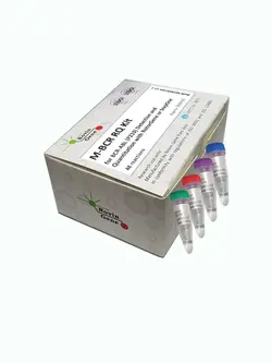 کیت ریل تایم BCR-ABL P210 (تشخیص و كمیت سنجی BCR-ABL p210)