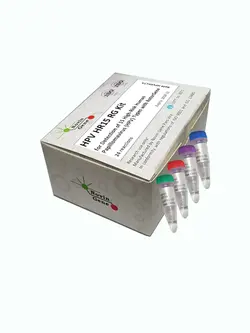 کیت ریل تایم HPV(جهت تشخیص ویروس پاپیلومای انسانی تایپهای 18 - 16 و 11 -6)
