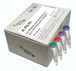 کیت ریل تایم JC( تشخیص و کمیت سنجی ویروس JC)