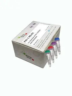 کیت ریل تایم PAI-1 (تشخيص پلی مورفيسم PAI-1 4G/5G)