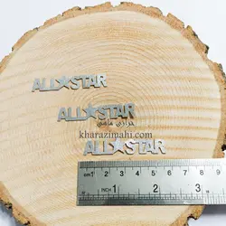 برچسب حرارتی پارچه ای{ALL_STAR}