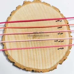 تریشه اشبالت