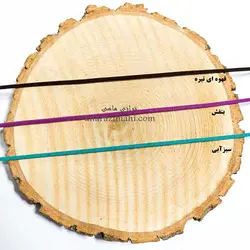 تریشه اشبالت