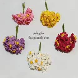 گل بابونه کاغذی{پرچم دار}