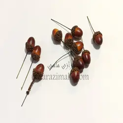 بلوط مینیاتوری تزئینی