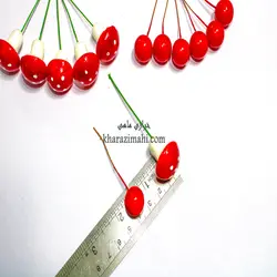 تزیینی قارچ و زالزالک