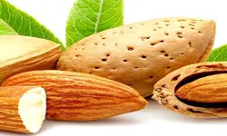 روغن بادام تلخ رُزان، 60 سی سی