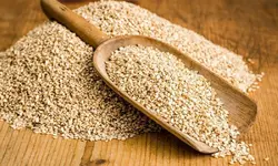 روغن ارده کنجد رُزان، 1 لیتری