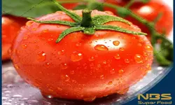 روغن سوپر فود NBS وی آی پی، کد 5