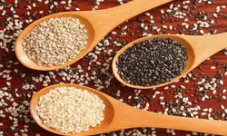 روغن کنجد درجه یک رُزان، 820 میلی لیتری