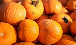 صابون کدو حلوایی، 2 عددی%