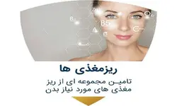 پودر سوپر فود NBS کُلد، بسته چهار ماهه
