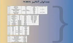 پودر سوپر فود NBS وی آی پی، بسته دو ماهه
