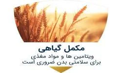 پودر سوپر فود NBS وی آی پی، بسته سه ماهه