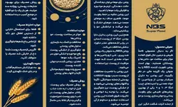 پودر سوپر فود NBS سیلور، بسته 4 ماهه