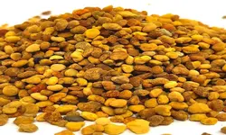 گرده گُل، 100 گرمی - کیمیا طب