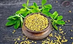 تخم شنبلیله، 100 گرمی