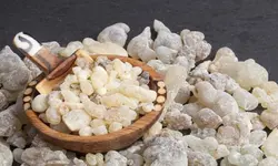 کُندر خوراکی، 100 گرمی
