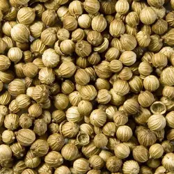 تخم گشنیز، 100 گرمی